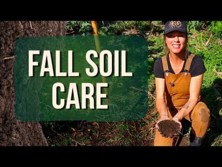 4 Ways to Care for Fall Garden Soil