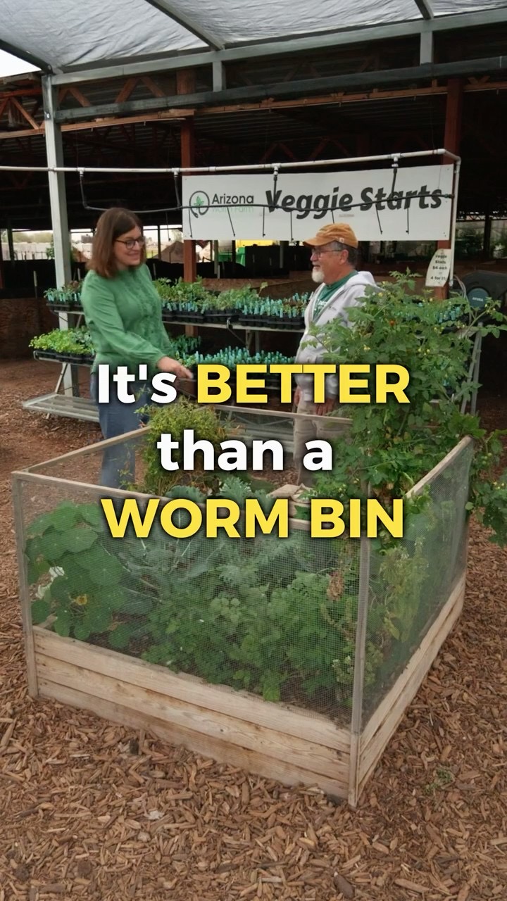 I Killed My First Worms. Do This Instead