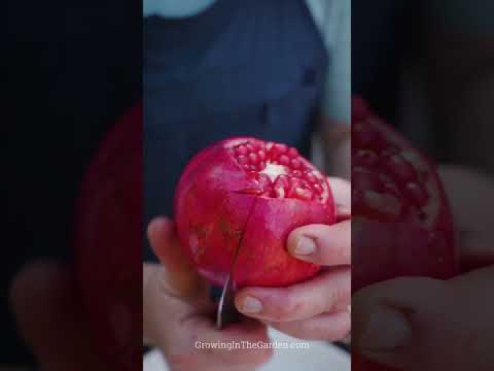 The Easiest Way to Remove Pomegranate Seeds