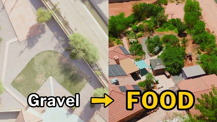 From Grass & Gravel to Desert Food Forest: Epic Yard Farm Video No. 2
