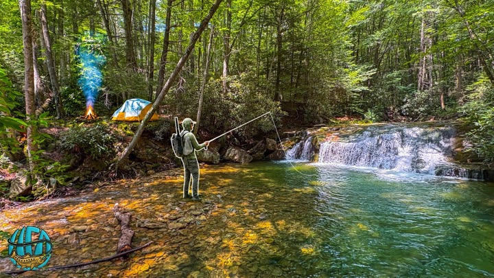Camping, Fishing, and Exploring West Virginia's Most Remote Wilderness! (Wild Brook Trout)