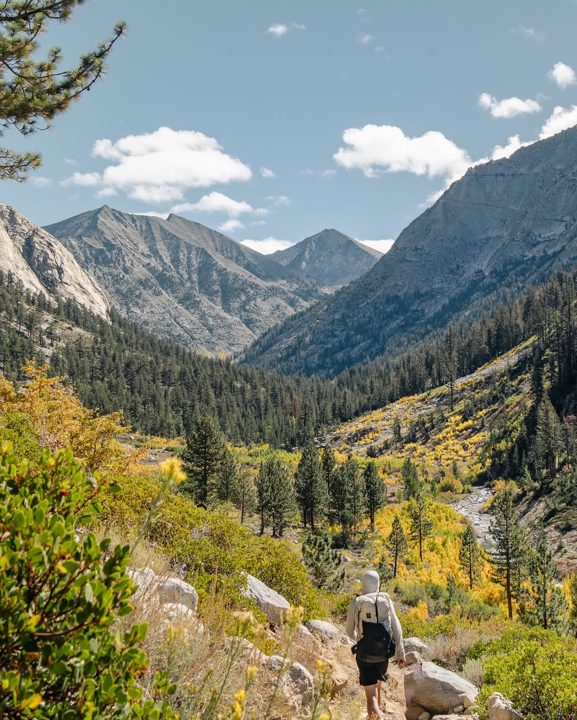 Now on YouTube: 7 Days of Silent Hiking in Sequoia National Park 🌲

Last year I spent a week hiking two amazing loops in