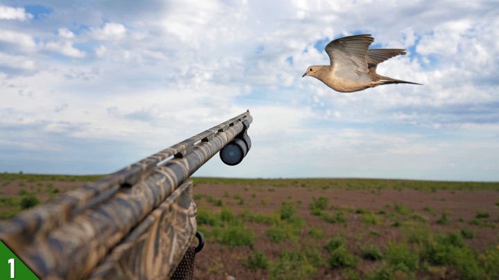 DOVES Were EVERYWHERE! (Limited Out) | OPENING MORNING Dove Hunt