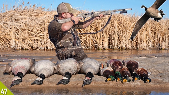 Hunting MALLARDS and GEESE in Wind! (Limited Out) | Solo Duck and Goose Hunt