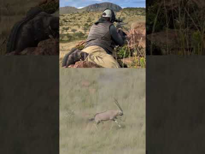 50 BMG VS Gemsbok Antelope in Africa! #hunting #deerhunting