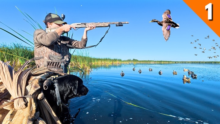 Opening Day DUCK HUNTING 2026 (Limited Out)