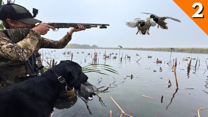3 Days Of Duck Hunting With A .410