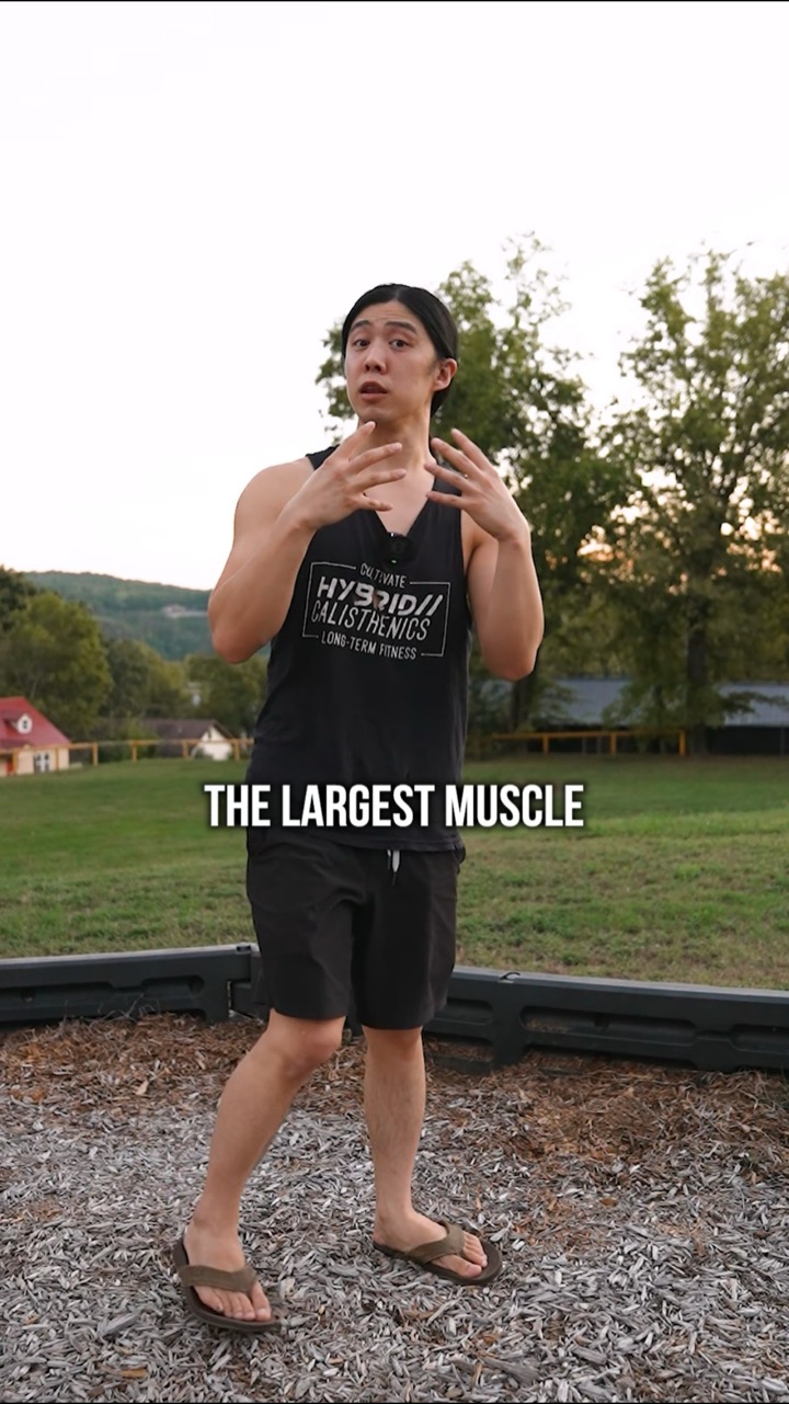 What is the strongest muscle?