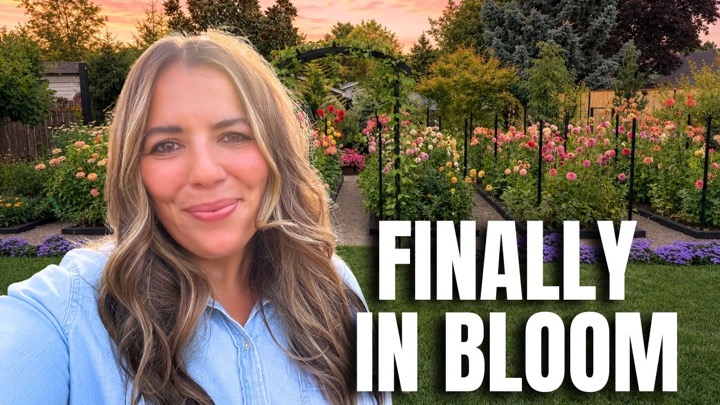The Cut Flower Garden Tour You've Been Waiting For 🌿