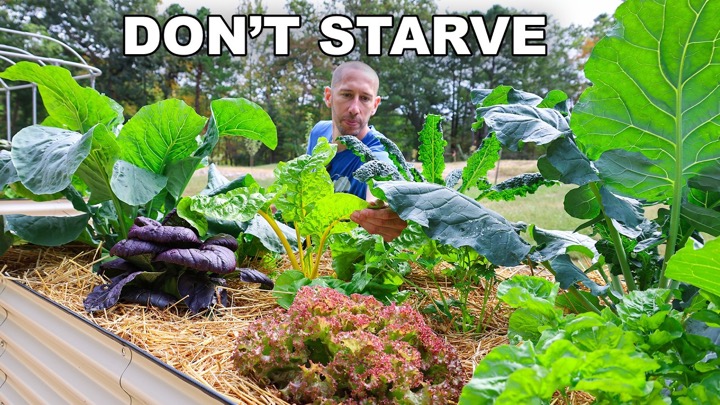 10 Cold Hardy Crops to Feed You ALL Winter