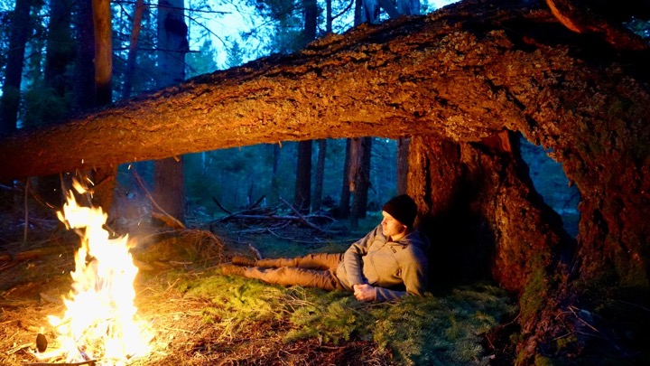 Surviving the Night Under a Giant Tree Alone