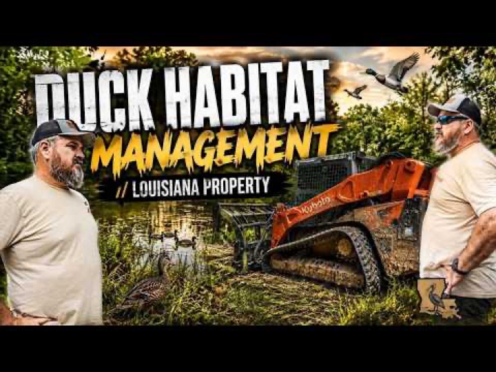 Duck Habitat Managment with Justin Martin // Louisiana Property