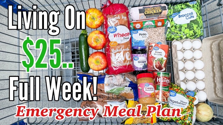 I Fed My Family for $25 This Week | Breakfast, Lunch & Dinner | Extreme Budget Meals at Walmart