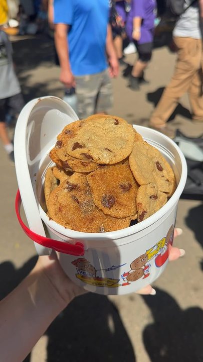 DAY 1 OF EVERYTHING I ATE AT THE MN STATE FAIR 🎡🩷🌽🍪🛝🎟️🧈 

#minnesotastatefair #statefair #statefairfood #everythingiate