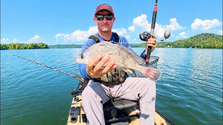 The Most INSANE Kayak Catfish Takedown I Have Ever Filmed