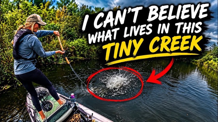 I Couldn't Believe What Was Living in This TINY Creek....
