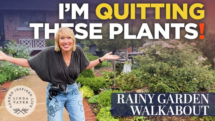 Why I'm Quitting These Popular Plants (Rainy Garden Walkabout)