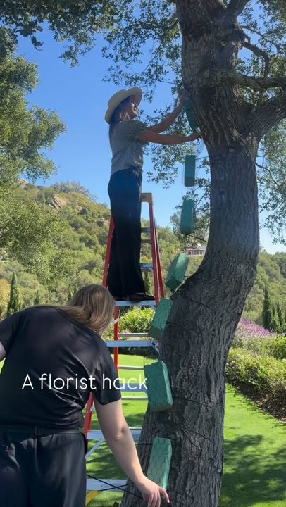 Florist Hack Chicken wire dry foam burrito + fully water-tubed blooms. Water tube your blooms onsite.

For professionals only. It looks easy. It isn’t. 👩‍🌾

Dry foam gives you carve + control.
Chicken wire gives you grip