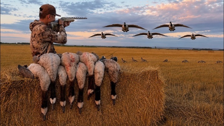 EPIC Opening Day Goose Hunting! (LIMITED OUT)
