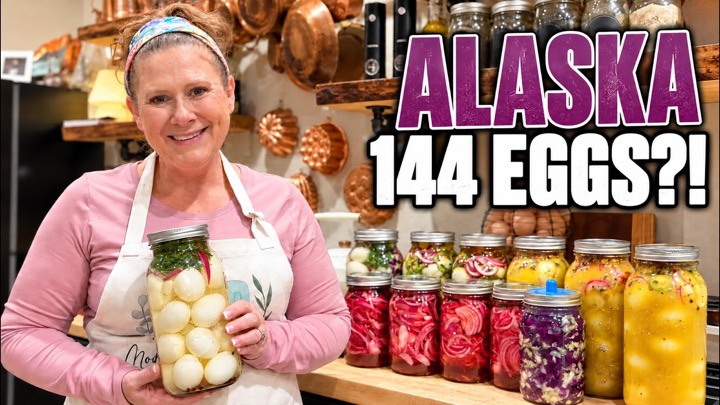 Modern Homestead Alaska — recent post 2