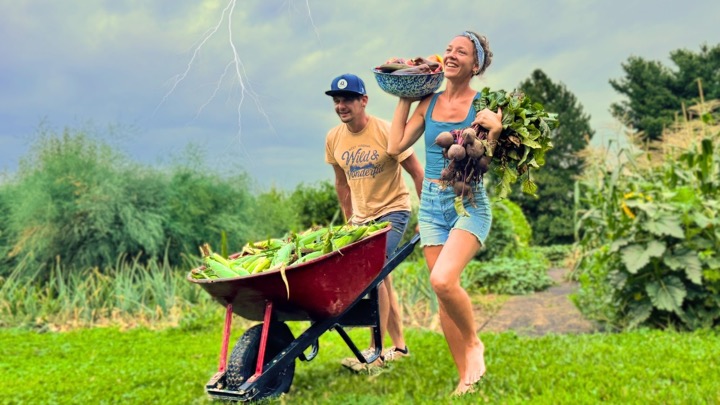 The Harvests are POURING IN! (but there's a storm coming)