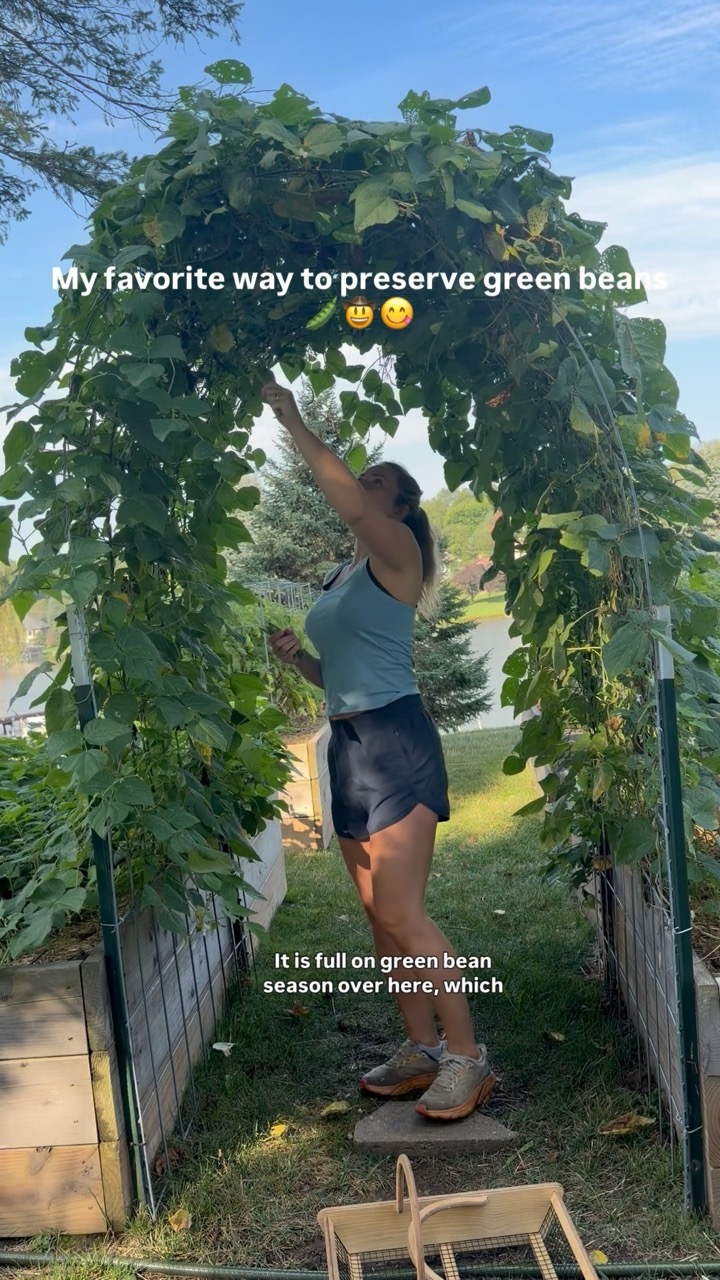 More than Gardening — recent post 1