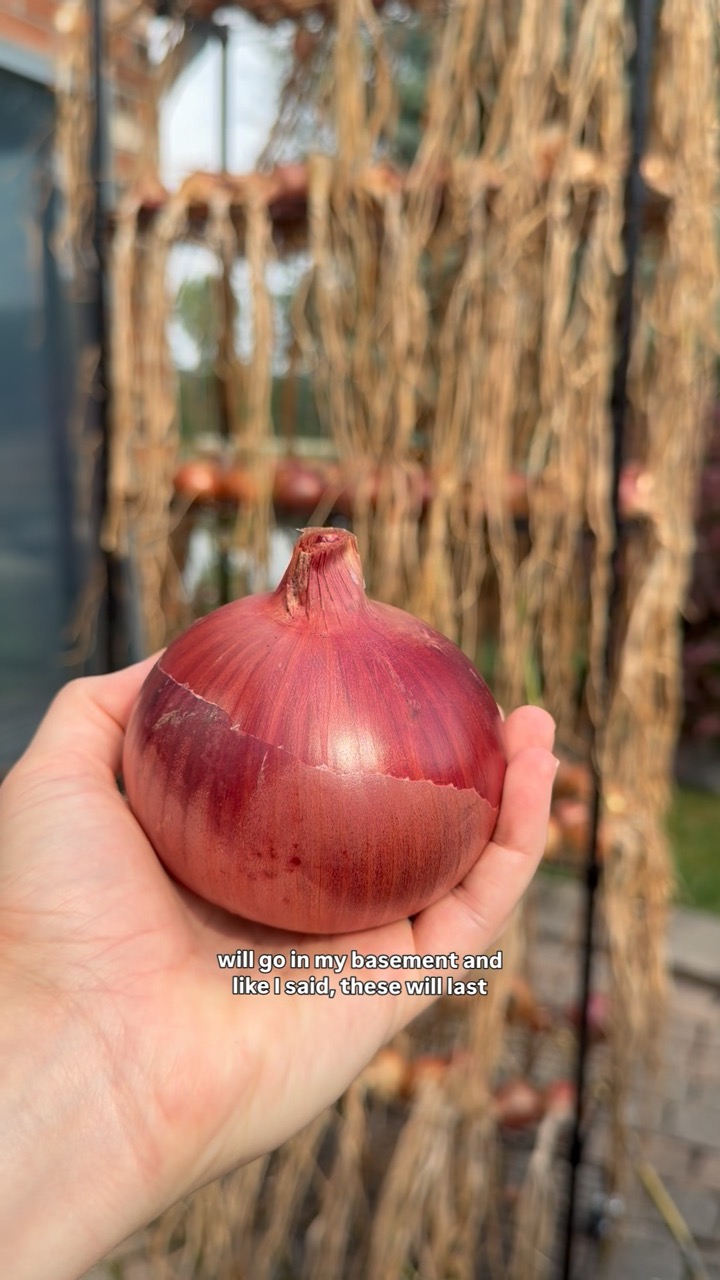 More than Gardening — recent post 2