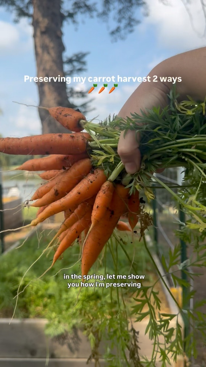 More than Gardening — recent post 3