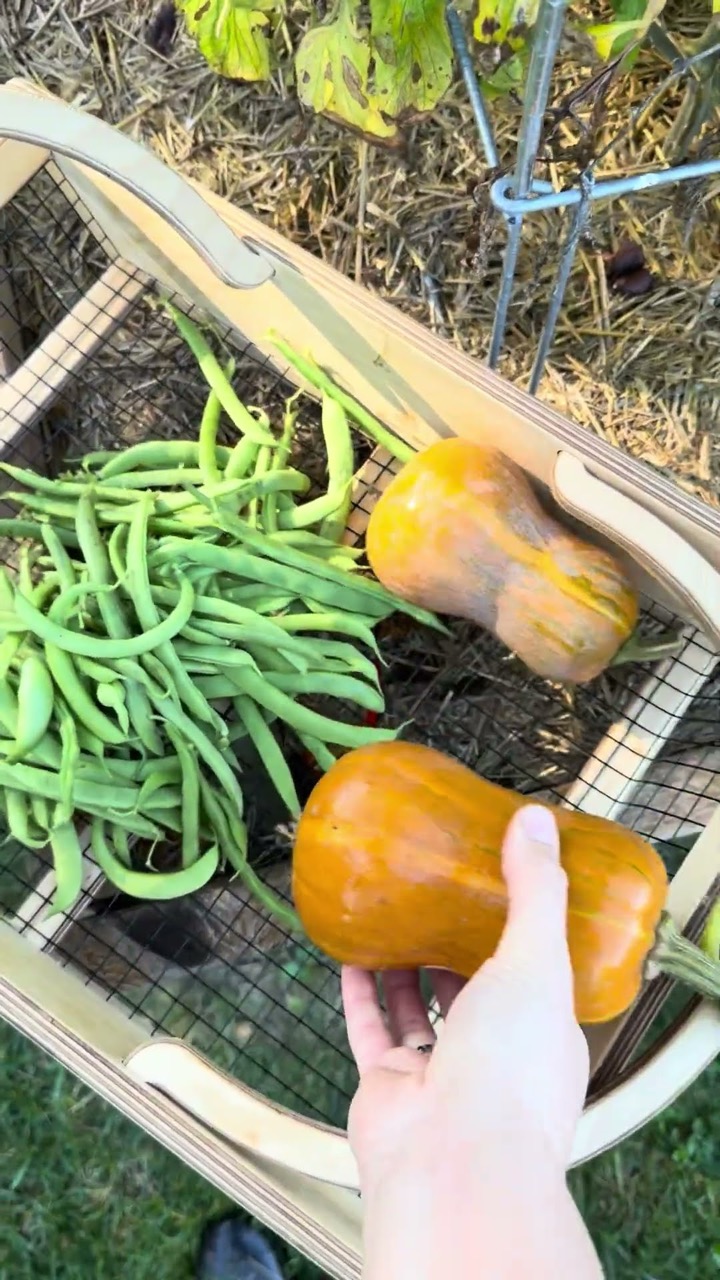 More than Gardening — recent post 4