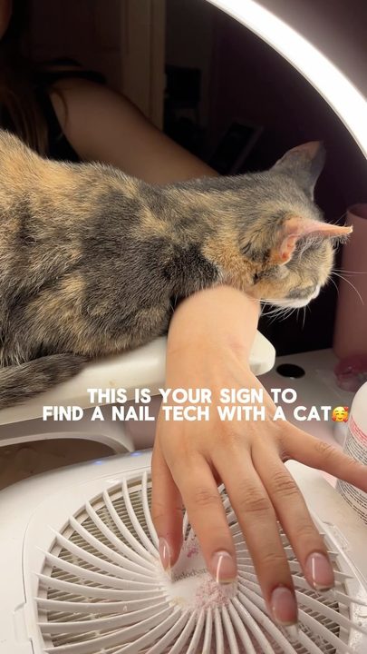 Who wouldn’t want some extra comfort?🥰

•
•
•

#nailart #nailsofinstagram #explorepage #naildesign #cat #nycnailtech #nycnails #bronxnailtech