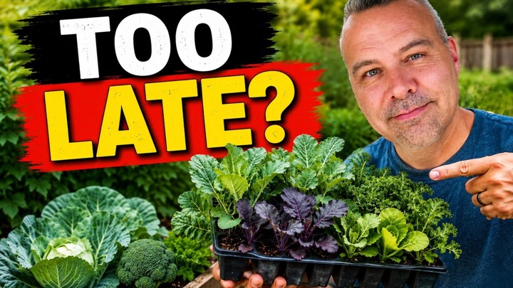 What to Plant in August (Before the Window Closes)