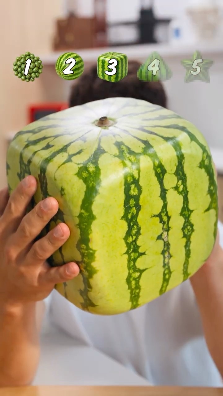 4 Levels of Watermelon