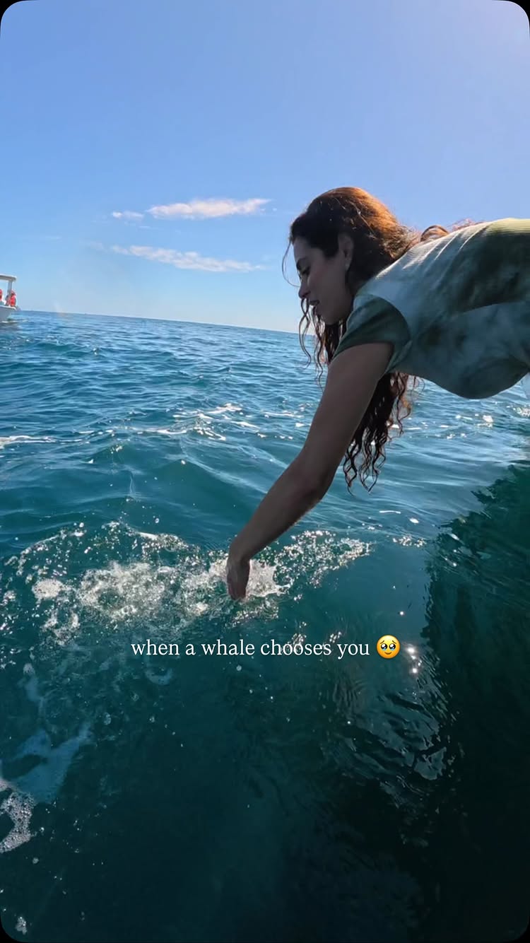it’s the best feeling in the world 🩵💫🥹🙏🏽🐋 

*this particular location in Mexico it is legal to touch the gray whales if they choose to
