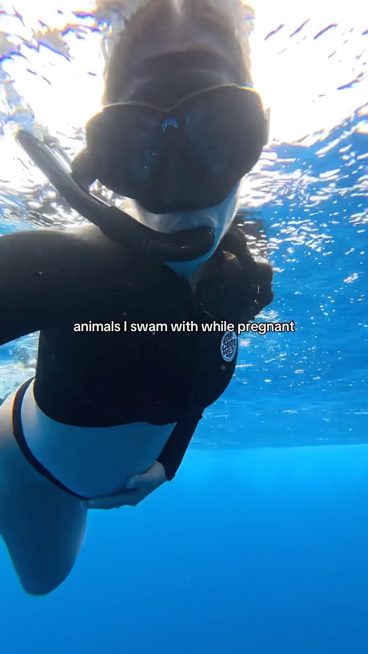 pretty cool I get to show him this one day 🥹✨

*please note: none of my underwater content is AI 🩵

Interactions with dolphins and whales 