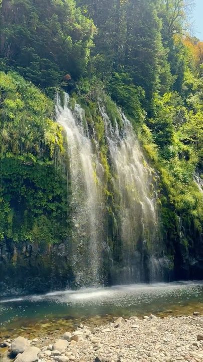 I'm sorry but Mossbrae Falls is not JUST a waterfall!! It's a 2.9 mile RT hike along the Sacramento River to a mossy cas