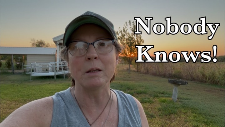 Heat not letting up! What Will El Niño Bring?