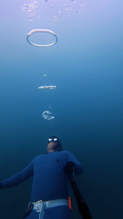 Evening La Jolla Shores dive from a few months back with my San Diego friends! Solid day out in the Sand Dollar beds! Al