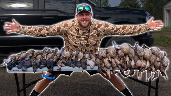 The Teal Opener You Don't Want To Miss
