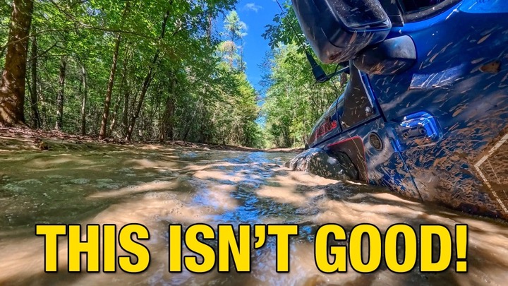I Did Not Expect This in the Ozarks!