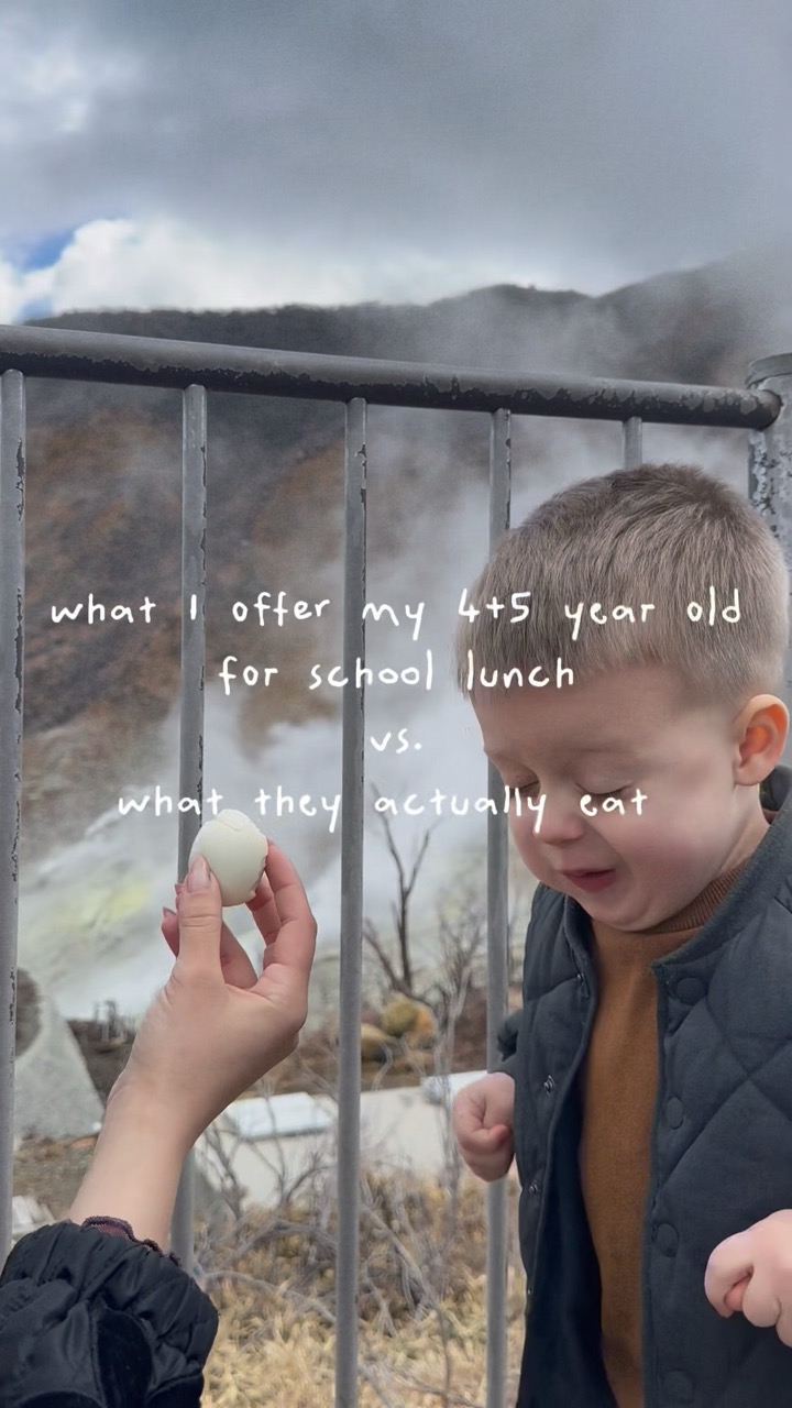 school lunch !! what I offer vs. what they eat ✨ #toddlermeals #mealplanning #lunchideas #sahm