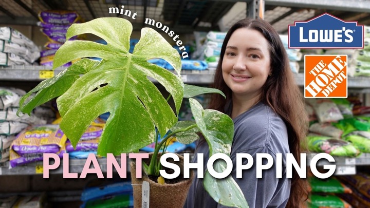 plantsbymelissa — recent post 2