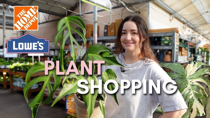 plantsbymelissa — recent post 3