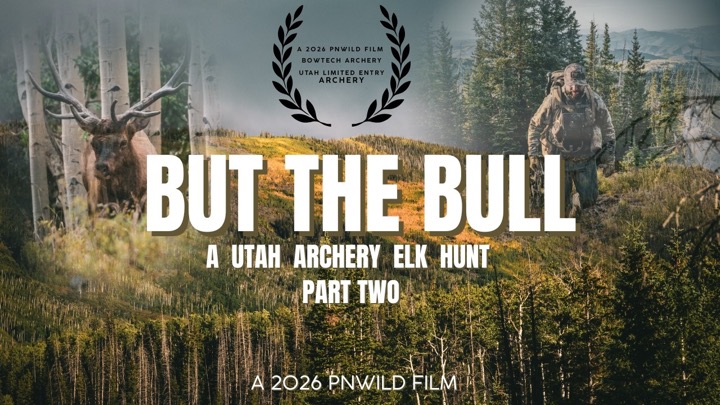 Utah Limited Entry Archery Elk Hunt  | PART TWO | PNWILD