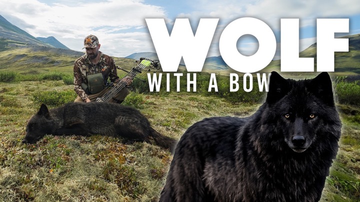 Of Bow an Bou: Part 1: Wolf With a Bow