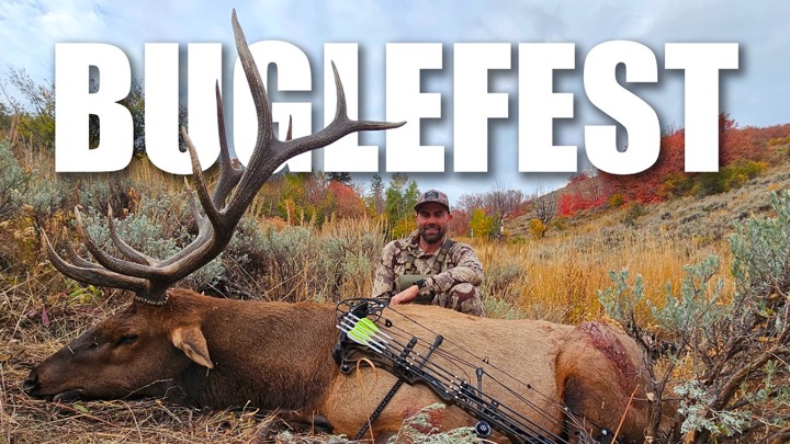The Bugles Never Stopped! It was a BUGLEFEST