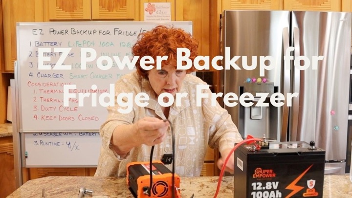 EZ Power Backup for Fridge or Freezer