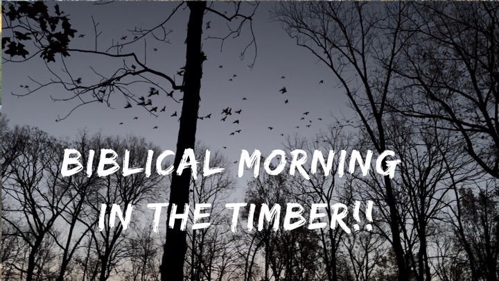 Biblical Duck Show And Solid Duck Hunt In The Timber | BEHIND THE LANYARD With Rusty Creasey