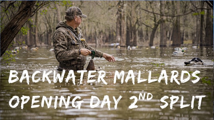 Duck Hunting The Woods On Opening Day Of The Second Split | BEHIND THE LANYARD With Rusty Creasey
