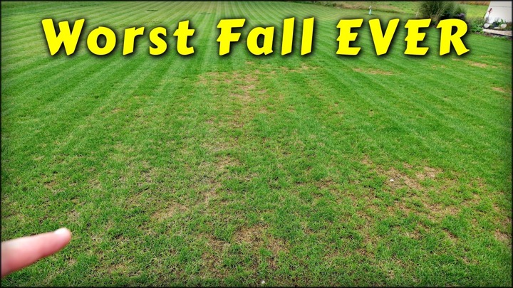 Ryan Knorr Lawn Care — recent post 1