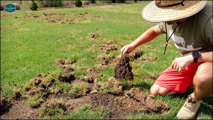 Ryan Knorr Lawn Care — recent post 3